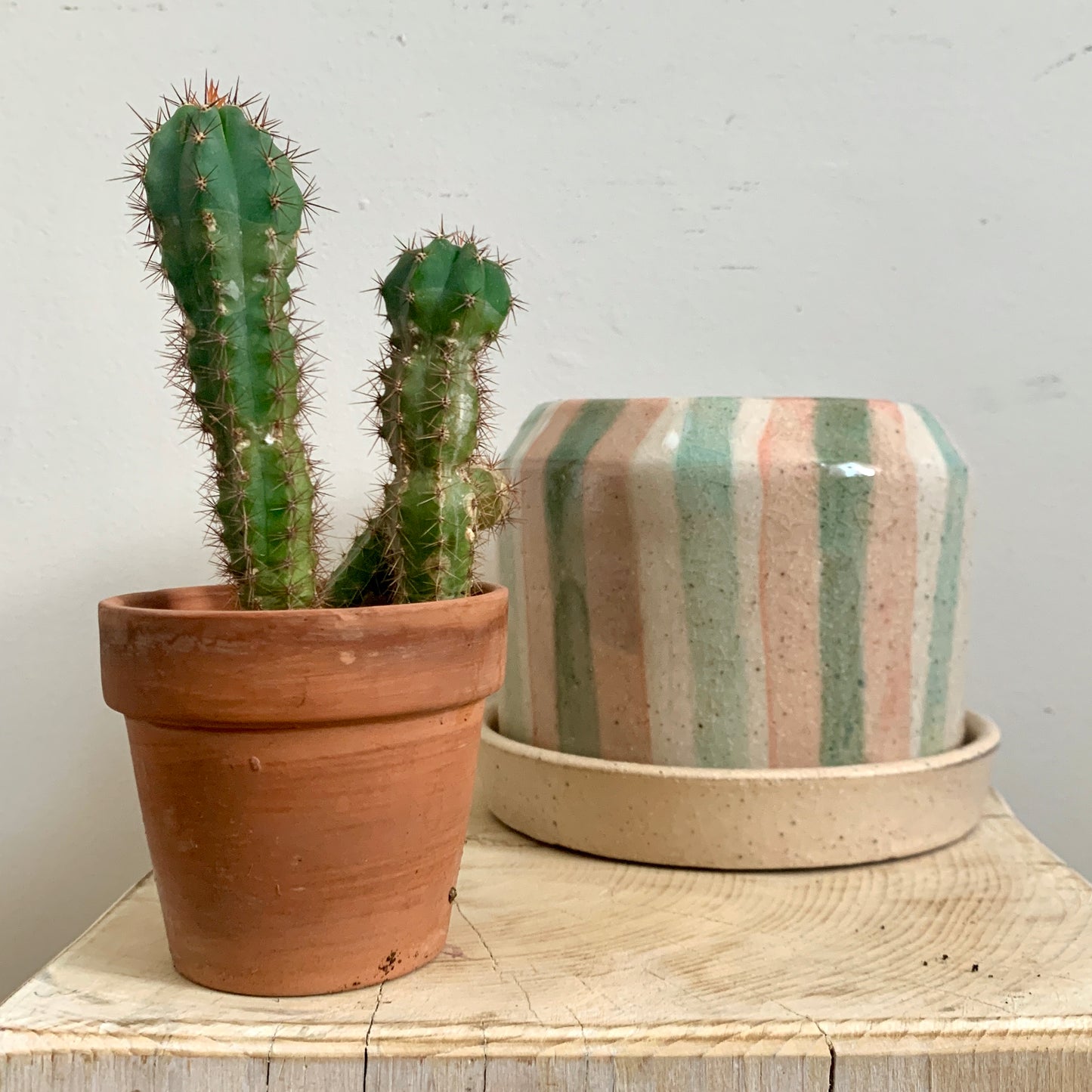Striped Planter