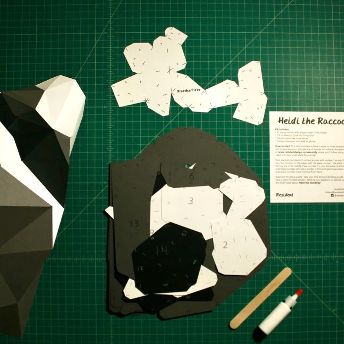 Heidi the Raccoon -Paper DIY Kit