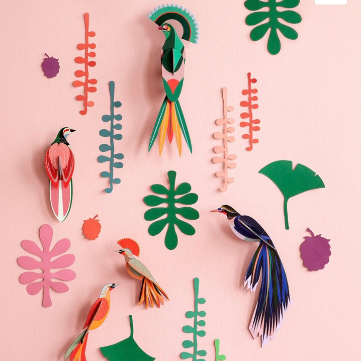 Bird Observer - Wall of Curiosoties