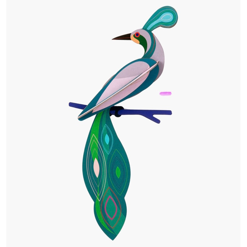 Paradise Bird, Fiji - Wall Decor