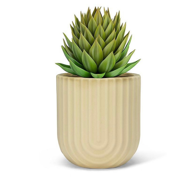 Ridged Planter