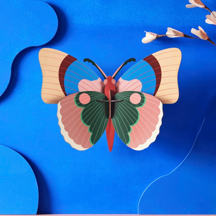 Cepora Butterfly Wall Decor