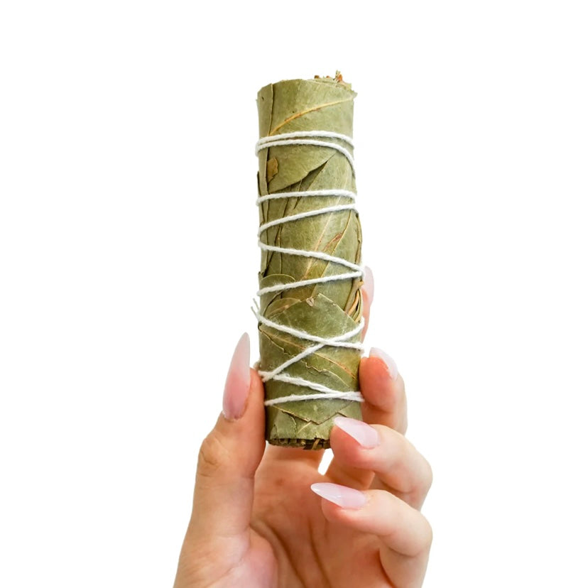 Eucalyptus Smudge Stick