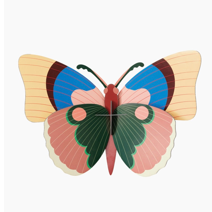 Cepora Butterfly Wall Decor
