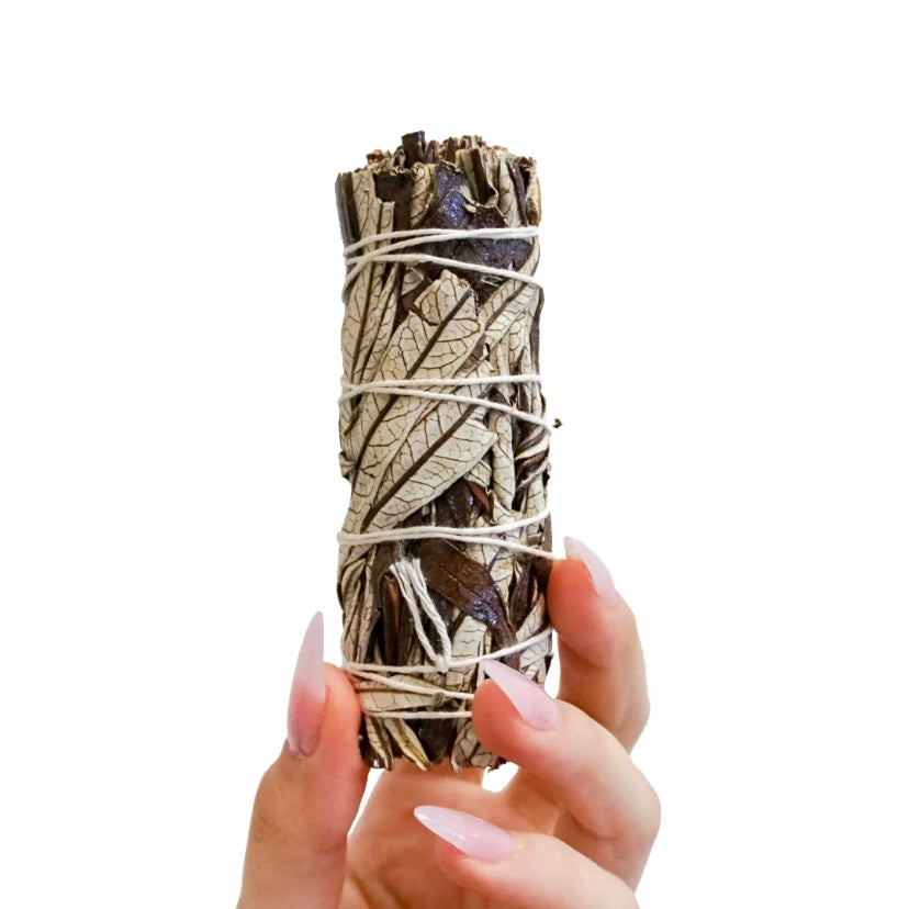 Yerba Santa & White Sage Bundle
