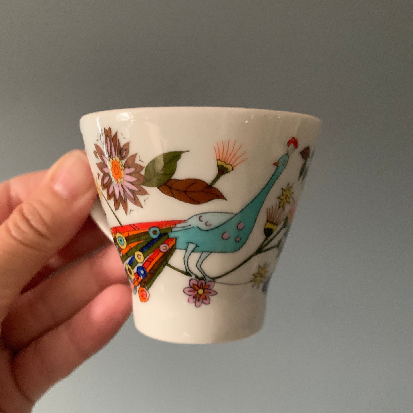 Vintage Peacock Espresso Set