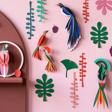 Bird Observer - Wall of Curiosoties