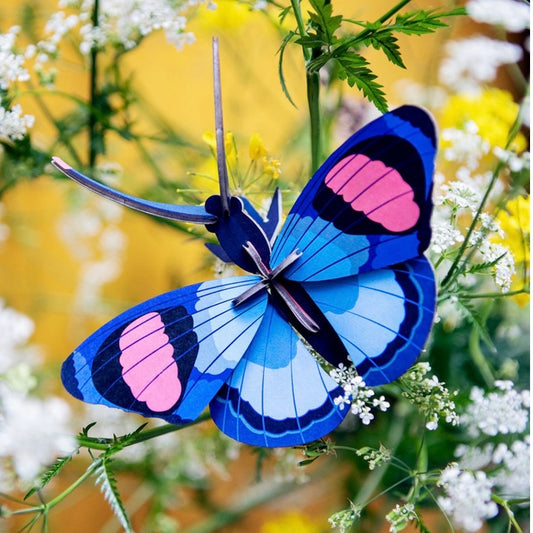 Peacock Butterfly Wall Decor