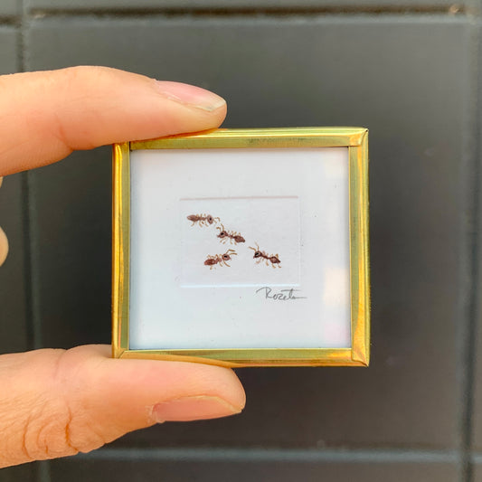 Tiny Wall Art - Ants