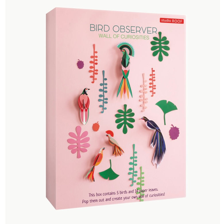 Bird Observer - Wall of Curiosoties