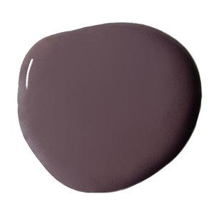 Tyrian Plum