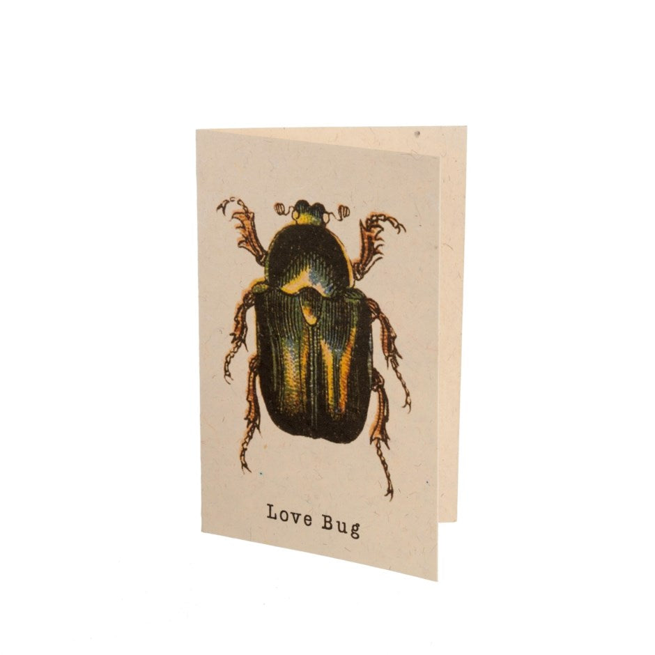 Love Bug Greeting Card