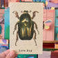 Love Bug Greeting Card