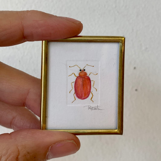 Tiny Wall Art - Coral Beetle