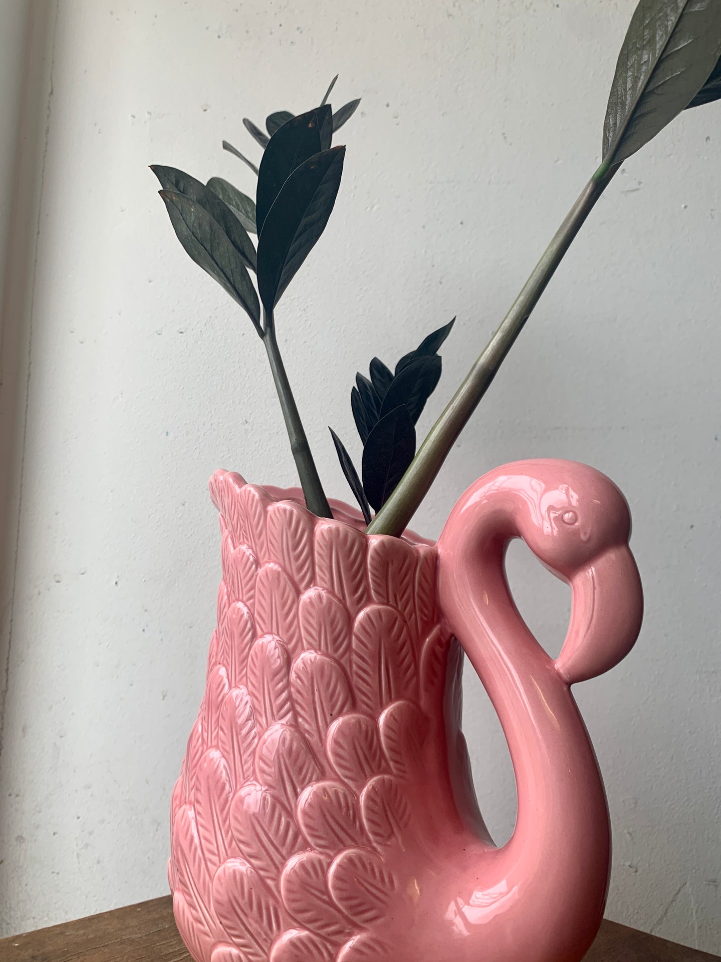 Raven ZZ Plant in Pink Flamingo Pot