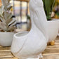 Pelican Planter