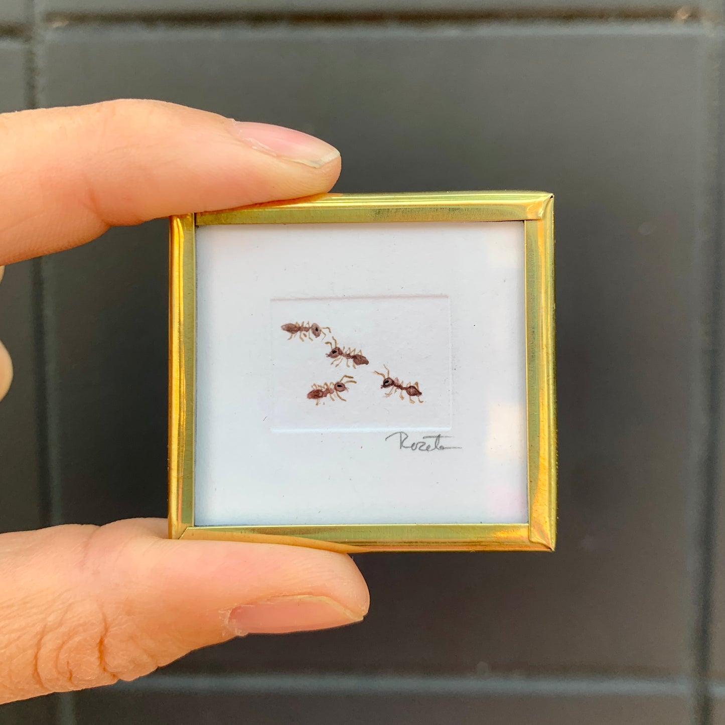 Tiny Wall Art - Ants