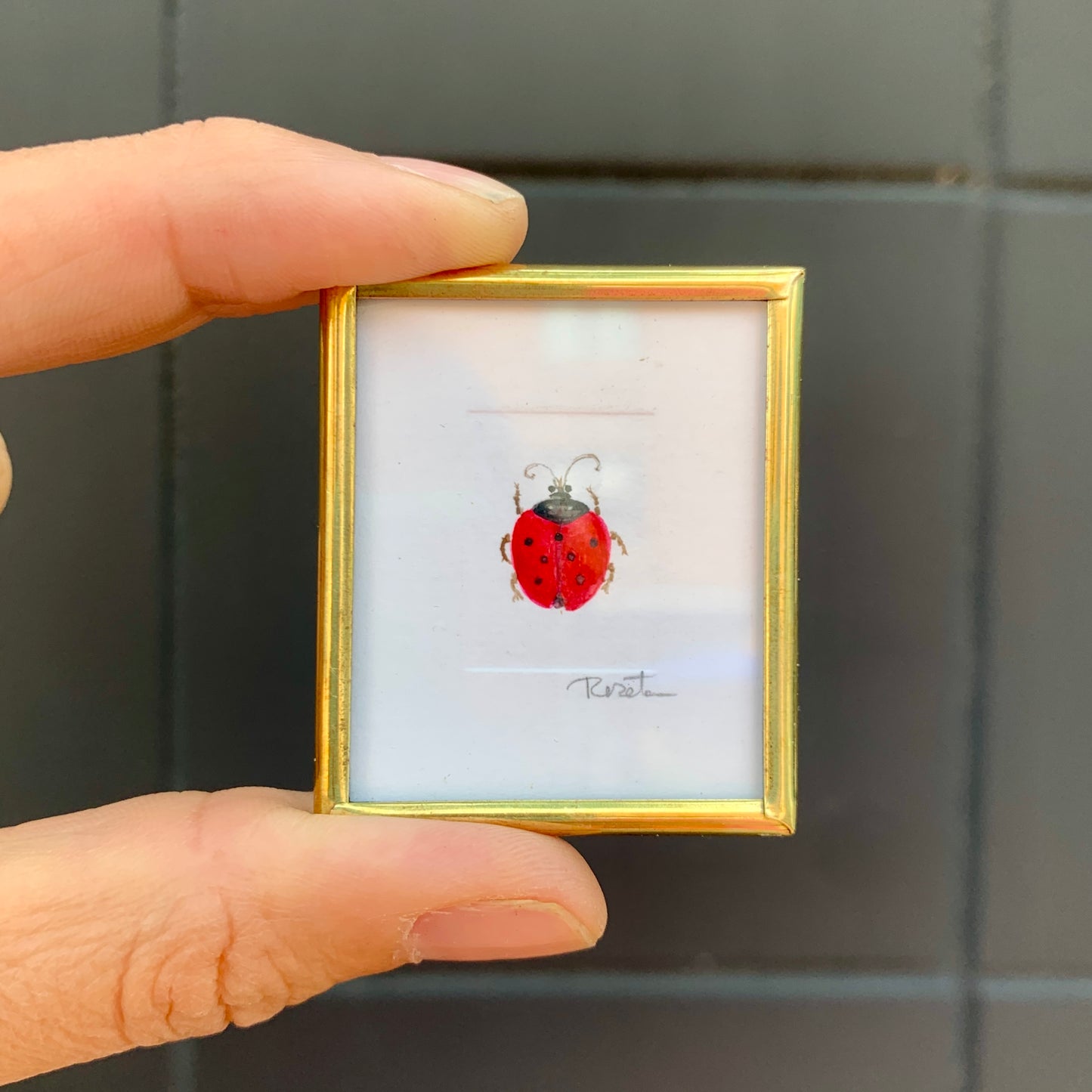Tiny Wall Art - Ladybug