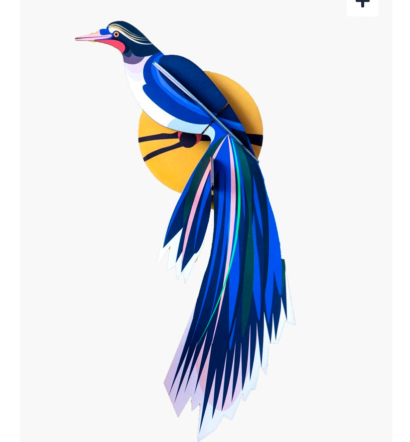 Paradise Bird, Flores -  Wall Decor