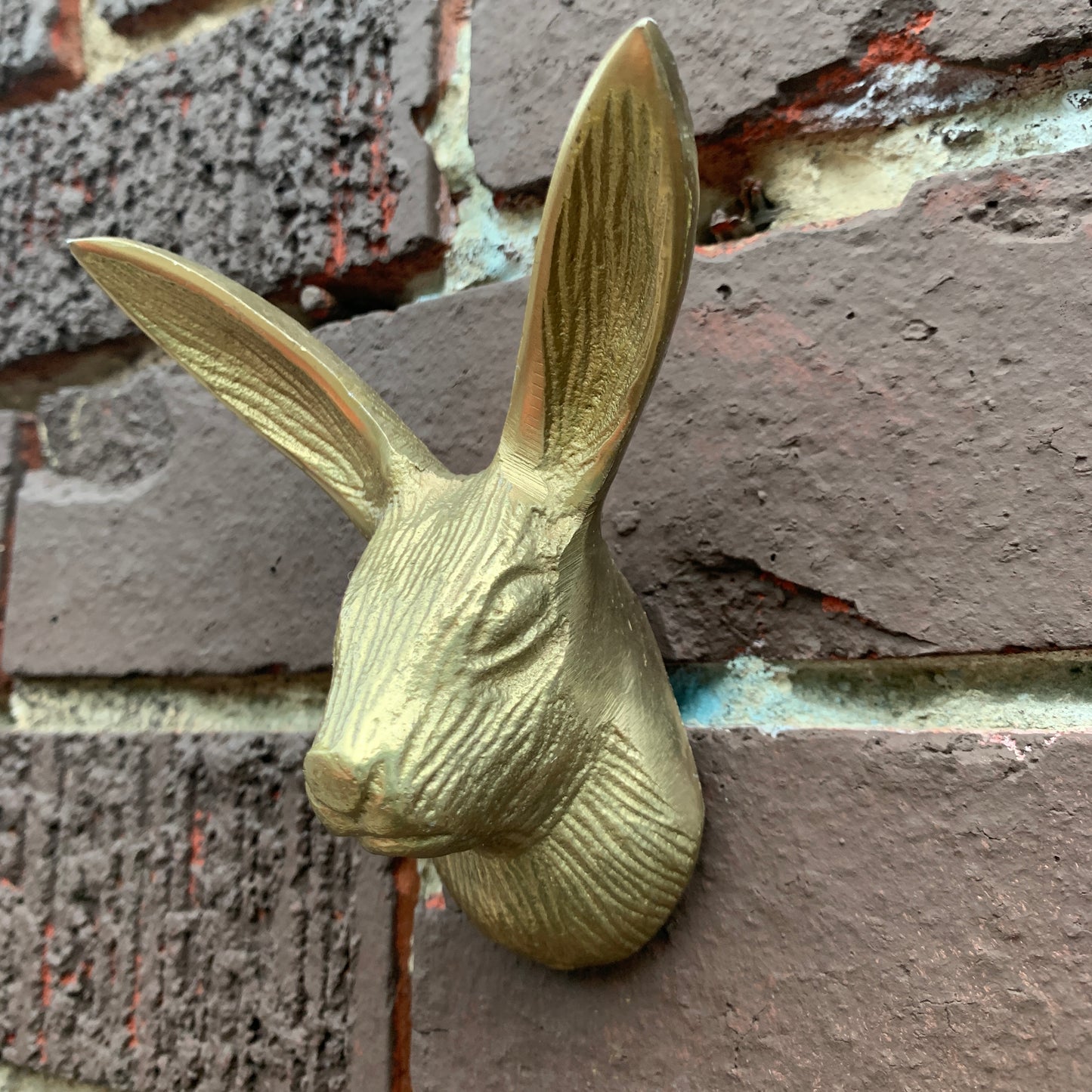 Long Eared Bunny Hook